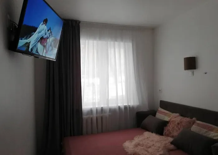 Comfortable Studio M Vokzalna